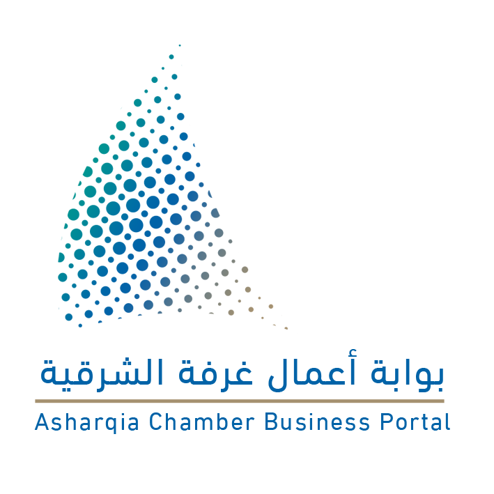 Visa Info Logo
